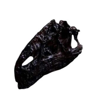 Deinonychus kallo