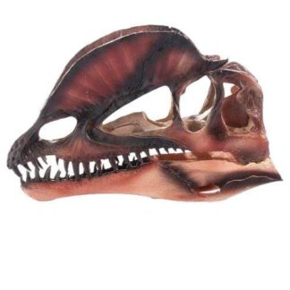 Dilophosaurus kallo