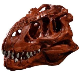 Hartsi dinosaurus kallo