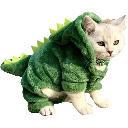 Dinosaurus kissa puku