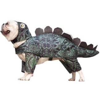 dinosaurus koira puku