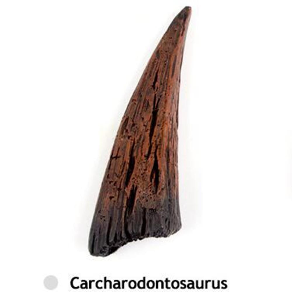 Interaktiivinen dinosauruslelu - Image 2