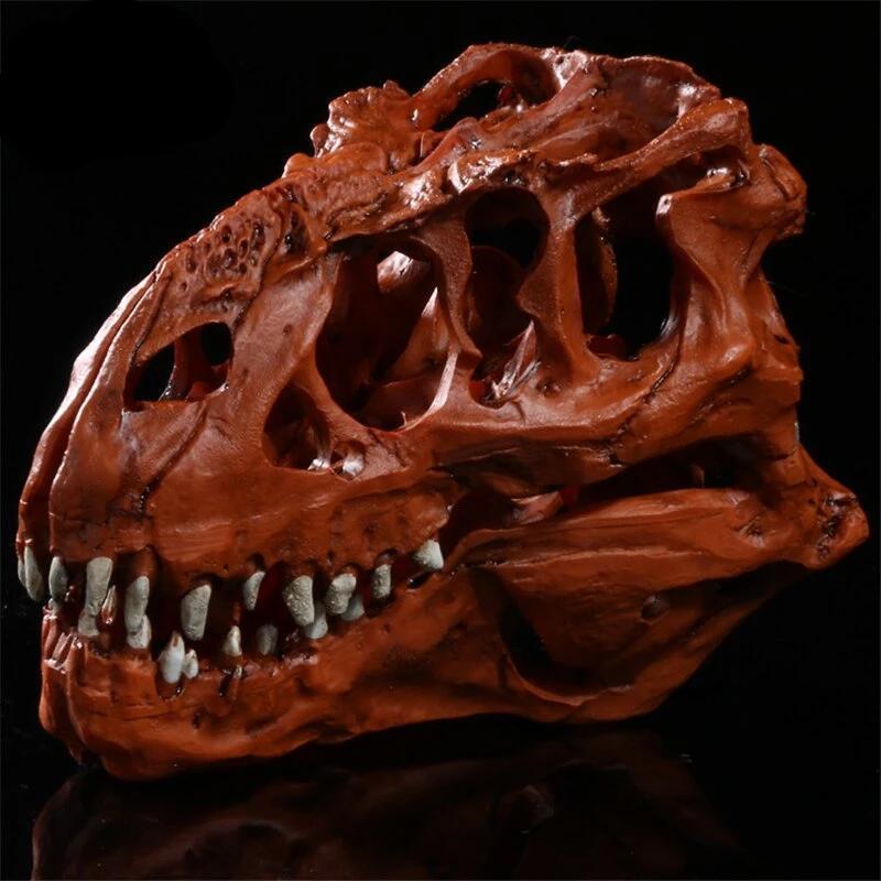 Hartsi dinosaurus kallo - Image 2