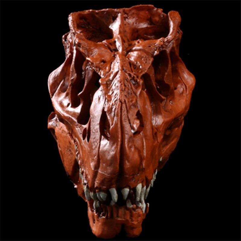 Hartsi dinosaurus kallo - Image 3