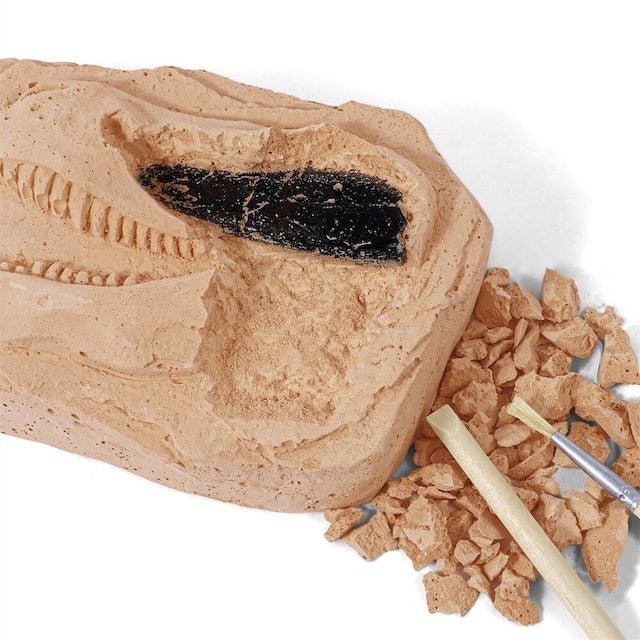 Dinosaurus hammas lelu - Image 2
