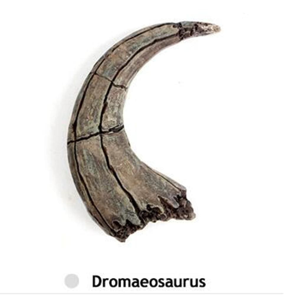 Interaktiivinen dinosauruslelu - Image 4